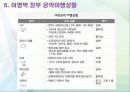 이명박 정부의 행정개혁  21페이지