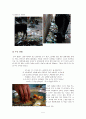 인도의 음식, 문화, 소고기의 금기, 수식 문화, 음식 문화, 특징, 현황, 사례, 관리, 시사점, 총체적 조사분석 5페이지