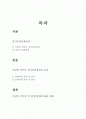 [거시경제학] 이명박정부의 경기부양정책 2페이지