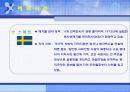 [공학기술] 방폐장 (방사능폐기물처리장) 11페이지
