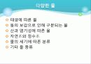 알고 먹자, 물 ! - 물에 대해 심층적으로 알아보기 ! 12페이지