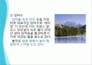 알고 먹자, 물 ! - 물에 대해 심층적으로 알아보기 ! 14페이지