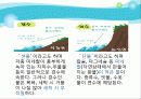 알고 먹자, 물 ! - 물에 대해 심층적으로 알아보기 ! 24페이지