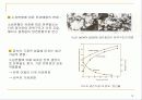 1-4 소성변형 12페이지