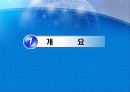 기업경영을 위한 특허 기술성공전략 3페이지