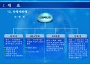 기업경영을 위한 특허 기술성공전략 5페이지