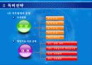 기업경영을 위한 특허 기술성공전략 14페이지