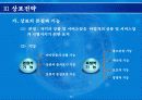기업경영을 위한 특허 기술성공전략 30페이지