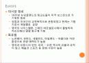 세계 크루즈 기항지 13페이지