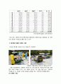 이벤트문화자원론조별 6페이지