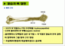골다공증8 2페이지