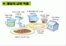 골다공증8 17페이지