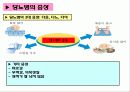 [식품과 건강] 제11장  당뇨 9페이지
