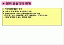 [식품과 건강] 제12 장암 11페이지