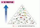 [식품과 건강] 제12 장암 15페이지