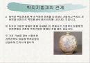 음각기법 7페이지