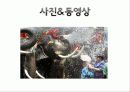 태국 송크란 축제 (Songkran Festival of Thailand) 24페이지