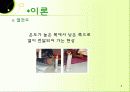 열전도도 실험 (고체)  3페이지