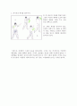 [교양골프] 골프 스윙의 단계 분석 (단계별 그림 첨부) 13페이지