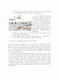 생화학 보고서 - nucleus & nuclear pore 2페이지
