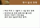 황사 13페이지