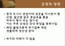 황사 17페이지