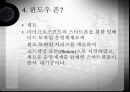 스마트폰 조사 24페이지