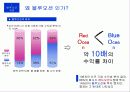 [경영혁신] 블루오션 전략 (Blue Ocean) 8페이지
