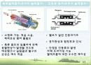 [생명공학개론] 인공장기 11페이지