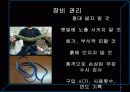 장비시설관리론-암벽 19페이지