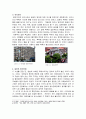 일본의 의복문화, 시대에 따른 의복 변천, 전통 의상, 기모노, 일본의 주거문화, 주택, 집합, 목욕, 음식 문화, 식사 예절, 대표적 음식, 시사점 조사분석 7페이지
