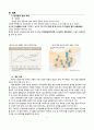 중국 개혁, 개방 30년 성과, 배경, 과제, 정책, 유래, 중국 경제 발전, 구조, 성공 요인, 역사, 가치, 사회화, 변천, 문제점, 발전 방향, 개선점, 변화, 역할, 시사점, 조사분석 9페이지