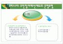 주민참여와 주민조직 14페이지