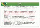 주민참여와 주민조직 30페이지