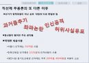 지방교육자치 29페이지