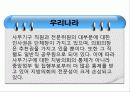 지방의회 전문성 42페이지