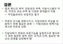 지방의회 전문성 51페이지