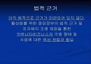 커뮤니티 비즈니스 12페이지