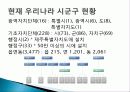 지방자치_행정체제_정비 3페이지