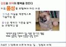 긍정심리학 ppt 자료 요약, 발표본 26페이지