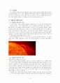 핵융합 에너지 정의, 개념, 장점, 단점, 분류, 필요이유, 현재 상황, 흐름, 인지도, 연구 현황, 정부 지원 계획, 전망, 개발 계획, 구성, 방향, 유형, 정책, 개선점, 시사점 4페이지
