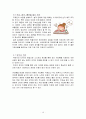 성인 여드름의 정의, 원인, 치료방법, 잘못된 상식, 변화, 특징, 현황, 사례, 효율적인 관리, 역할, 기법, 시사점, 나의견해, 총체적 조사분석 13페이지
