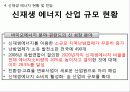 신 재생 에너지 핀란드(Finland) 프로젝트 13페이지