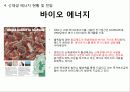 신 재생 에너지 핀란드(Finland) 프로젝트 18페이지