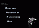 일본 신 재생  에너지 프로젝트 2페이지