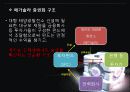 일본 신 재생  에너지 프로젝트 12페이지