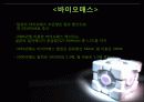 일본 신 재생  에너지 프로젝트 23페이지