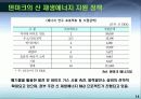 덴마크 신 재생 에너지 14페이지