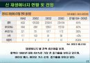 덴마크 신 재생 에너지 17페이지