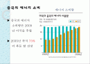 신 재생 에너지 중국 프로젝트 2페이지